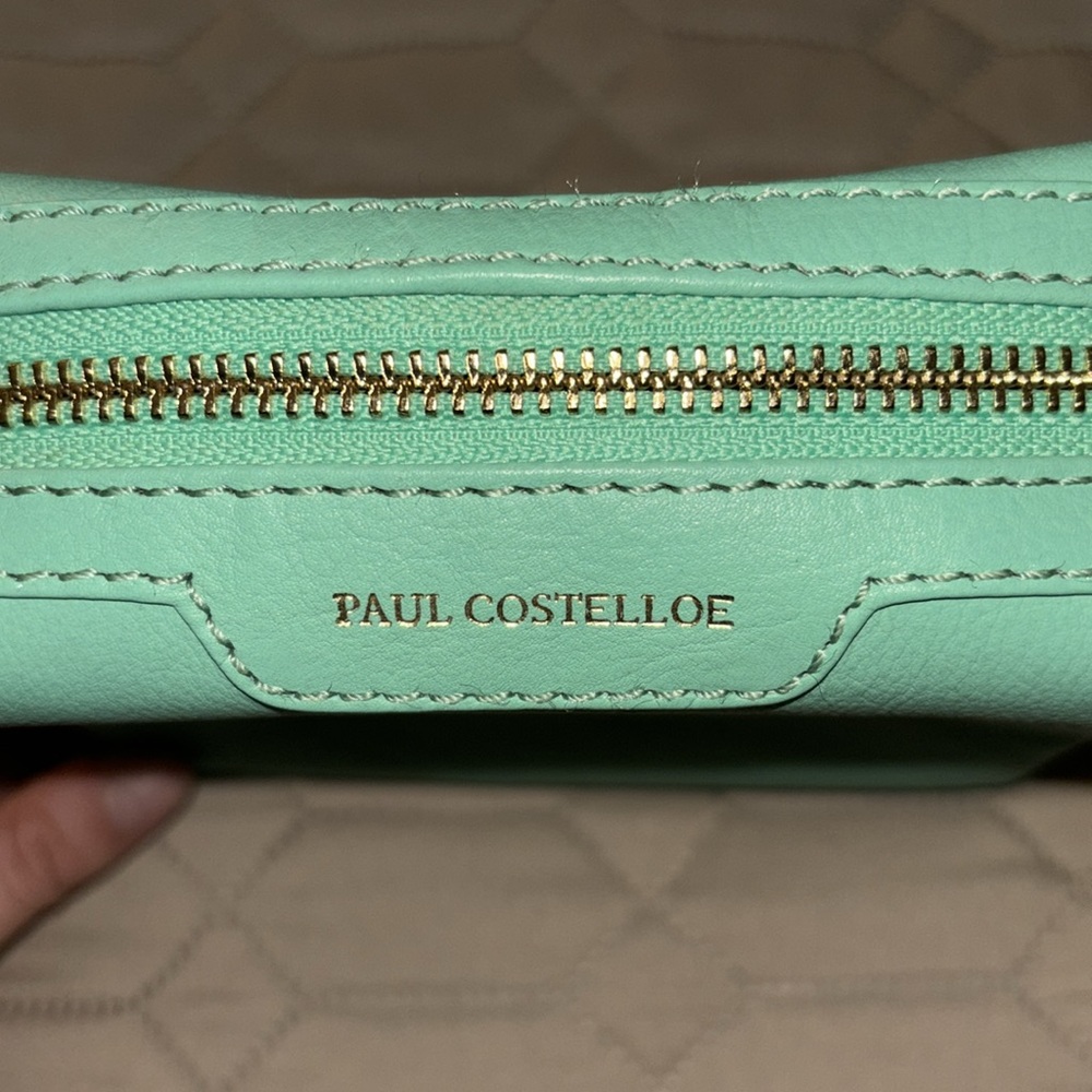 🐬 {PRICE FIRM} Paul Costelloe MAYO Leather Crossbody Bag ~ Mint Green - Picture 7 of 9